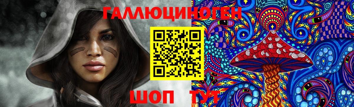 как найти закладки  Галлюциногенные грибы Psilocybe  Вход с VPN  Пенза  Галлюциногенные грибы Psilocybe 