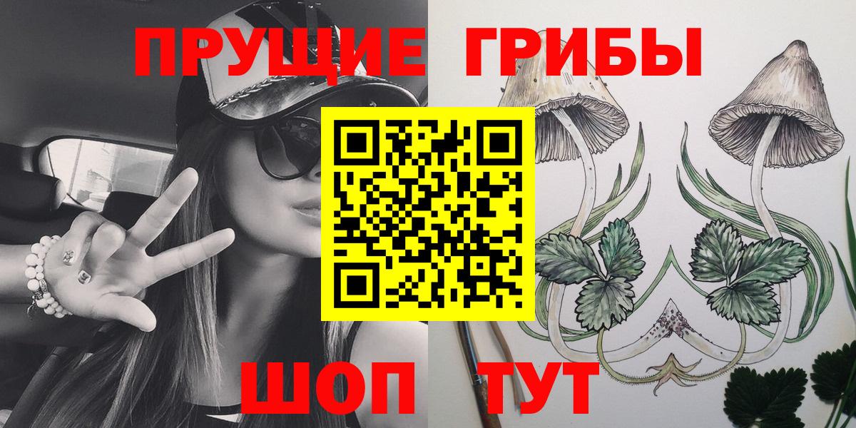 Псилоцибиновые грибы Cubensis Пенза